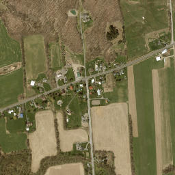 Apulia New York High Resolution Satellite Map