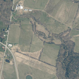 Root Center New York High Resolution Satellite Map