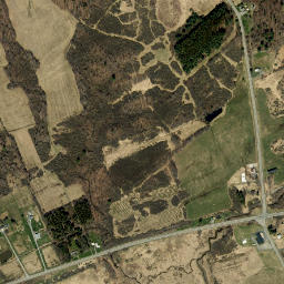 Rynex Corners New York High Resolution Satellite Map