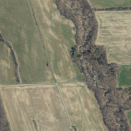 Bunker New York High Resolution Satellite Map