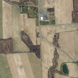 Austin New York High Resolution Satellite Map