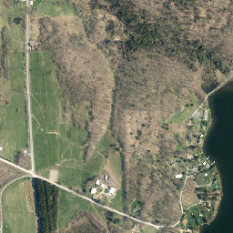 Campbell New York High Resolution Satellite Map
