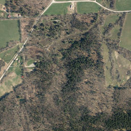 Moscow Hill New York High Resolution Satellite Map