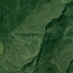Obshtina Nesebar map(satellite map)