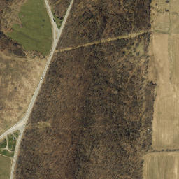 State Highway 39, Mt Morris, NY 14510 High Resolution Satellite Map