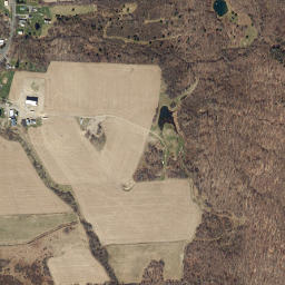 Kelloggsville New York High Resolution Satellite Map