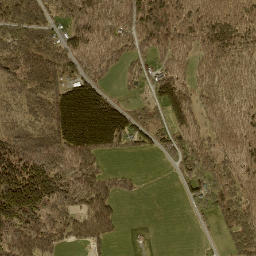 Bromley New York High Resolution Satellite Map