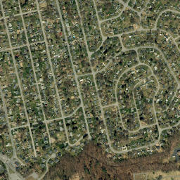 Coldbrook New York High Resolution Satellite Map