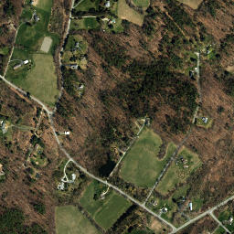 Tamarack New York High Resolution Satellite Map