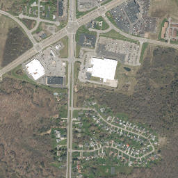 Big Tree New York High Resolution Satellite Map