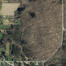 Varysburg New York High Resolution Satellite Map