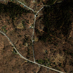 Stillham New York High Resolution Satellite Map