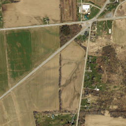 Pine Tavern New York High Resolution Satellite Map