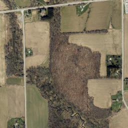 Sucker Brook New York High Resolution Satellite Map