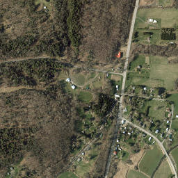 Roseboom New York High Resolution Satellite Map