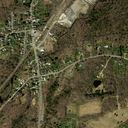 Delanson New York High Resolution Satellite Map