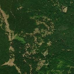Obshtina Tvarditsa map(satellite map)