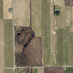 Voak New York High Resolution Satellite Map