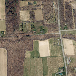 Angus New York High Resolution Satellite Map