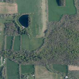 Livingston County map(satellite map)