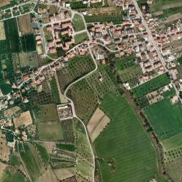 Cologna Spiaggia map(satellite map)