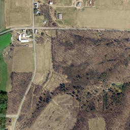 Williams Corner New York High Resolution Satellite Map