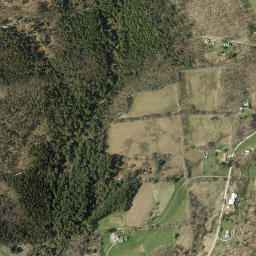 Wileytown New York High Resolution Satellite Map