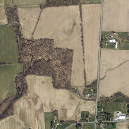 East Venice New York High Resolution Satellite Map