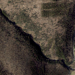 Seventh Day Hollow New York High Resolution Satellite Map