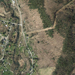 Toddsville New York High Resolution Satellite Map