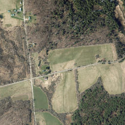 Patent New York High Resolution Satellite Map