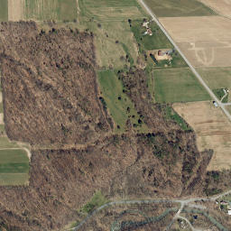 Mays Mills New York High Resolution Satellite Map