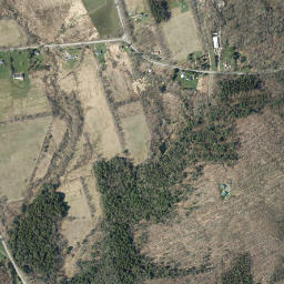 Scotch Hill New York High Resolution Satellite Map