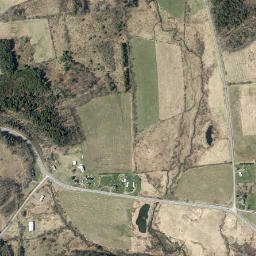 Chase New York High Resolution Satellite Map