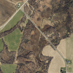 Chace New York High Resolution Satellite Map