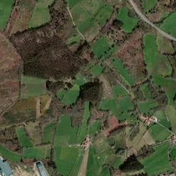 Rodeiro map(satellite map)