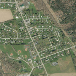 Patchin New York High Resolution Satellite Map