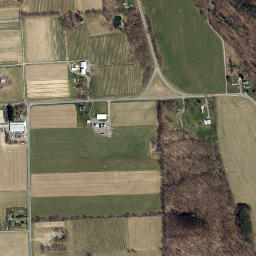 Goosetree New York High Resolution Satellite Map