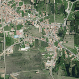 Sariegos map(satellite map)