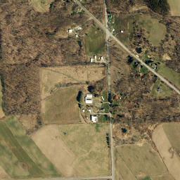 Libertypole New York High Resolution Satellite Map