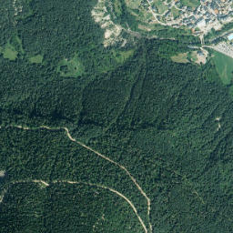 Bielsa map(satellite map)