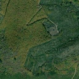 Obshtina Maglizh map(satellite map)