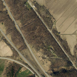 West Sparta New York High Resolution Satellite Map