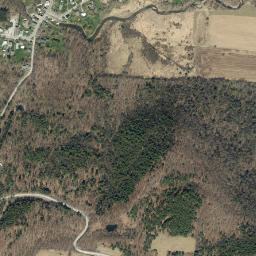 Berne New York High Resolution Satellite Map