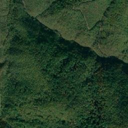Obshtina Chavdar map(satellite map)