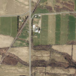 Randall Crossing New York High Resolution Satellite Map