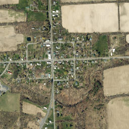 Lodi New York High Resolution Satellite Map
