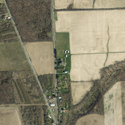 Lake Ridge New York High Resolution Satellite Map