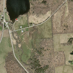 Taylor Center New York High Resolution Satellite Map