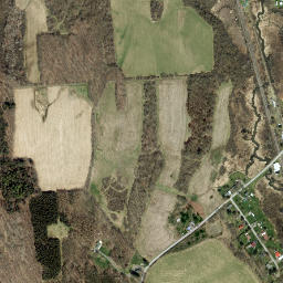 Galena New York High Resolution Satellite Map